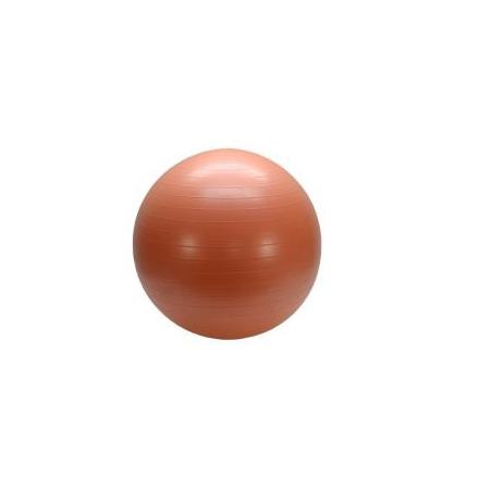 Balans/pilates boll 55 cm